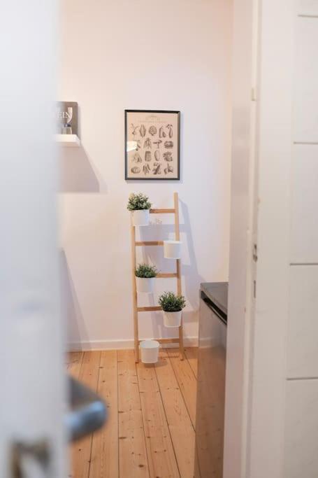 Stadtoase Design Wohnung In Der Altstadt Von Koblenz Кобленц Екстер'єр фото